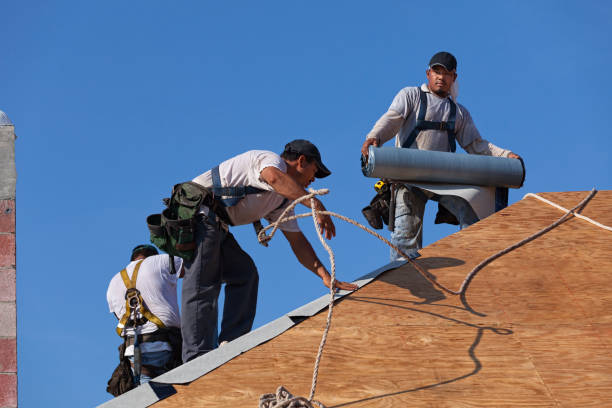Roof Waterproofing Services in Topaz Ranch Estates, NV