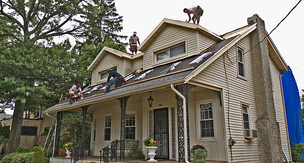 Best Local Roofing Companies  in Topaz Ranch Estates, NV